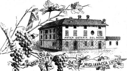 Sketch of the house native